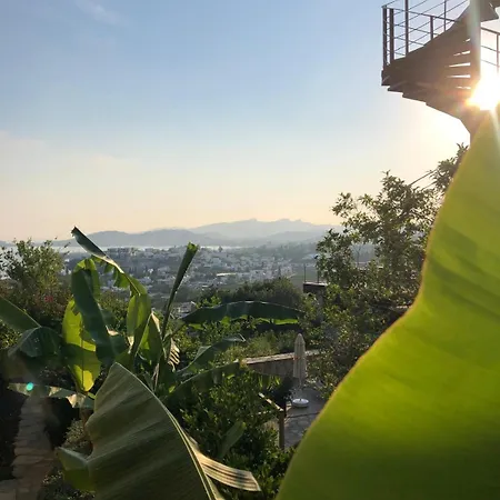 Spektr Boutique Hotel&spa Hotel Yalıkavak