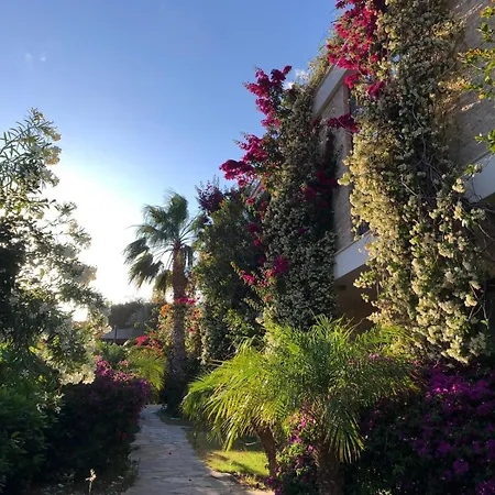 Hotel Spektr Boutique Hotel&spa Yalıkavak