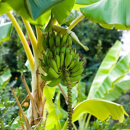 Spektr Boutique Hotell 3*