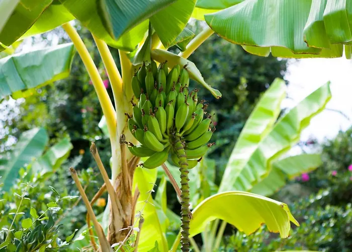 Spektr Boutique Отель 3*